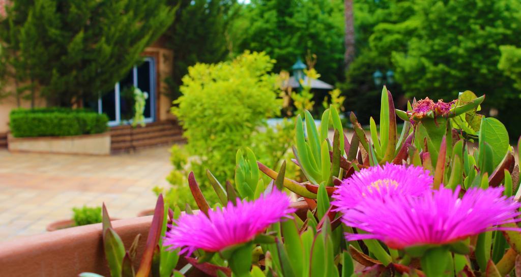 Alambique - Hotel Resort & Spa Fundão Eksteriør bilde